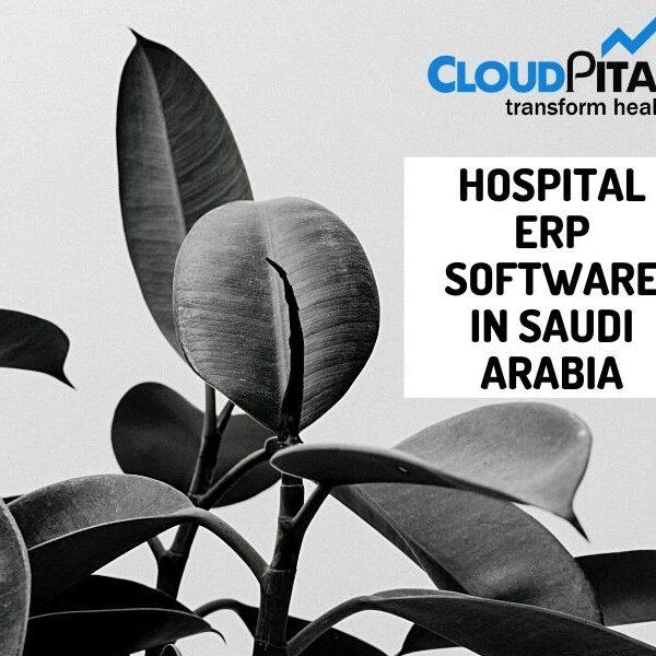 How Hospital ERP Software in Saudi Arabia and Dentist EMR Software in Saudi Arabia going useful for you?