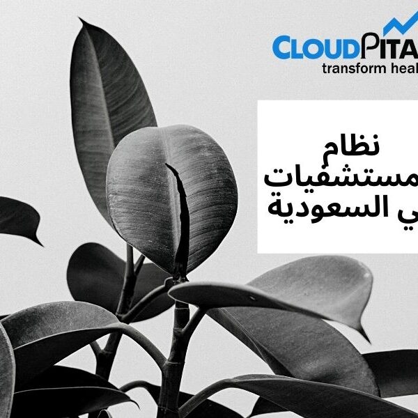 5 Steps to a Successful نظام المستشفيات في السعودية Implementation