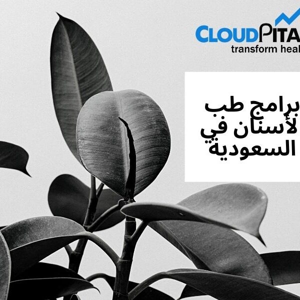 What exactly is برامج طب الأسنان في السعودية and how does it work?