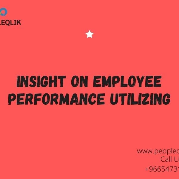 Insight on Employee Performance utilizing : برامج موارد بشرية في السعودية